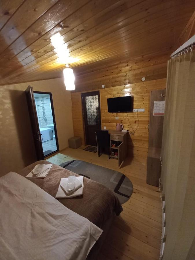 Four Season In Kazbegi Hotel Bagian luar foto